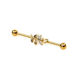 import placeholder for barbell 100 dourado