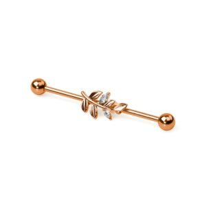 import placeholder for barbell 100 ourorosa