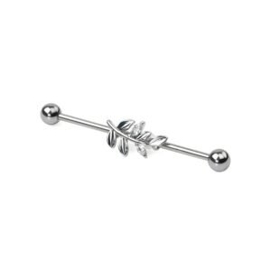 import placeholder for barbell 100 prateado