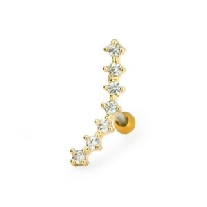 import placeholder for barbell 141 dourado