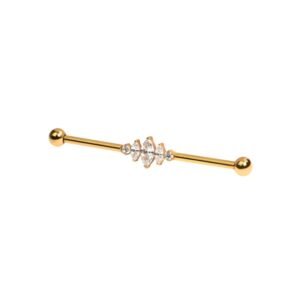 import placeholder for barbell 205 dourado