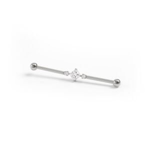 import placeholder for barbell 209 prateado