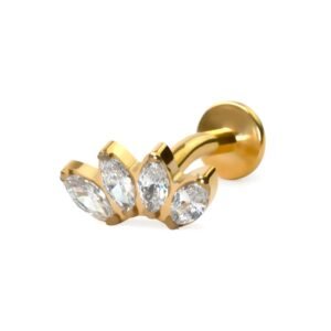 import placeholder for belly 537 dourado