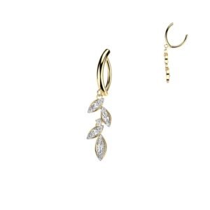 import placeholder for belly 592 dourado