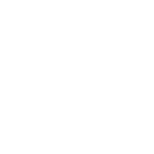 bodymod icon white.png
