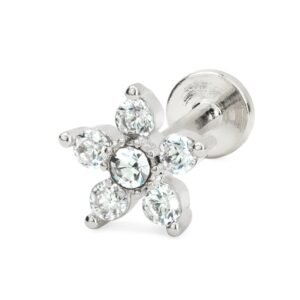 import placeholder for labret 113 prateado