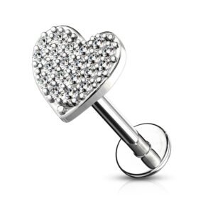 import placeholder for labret 119 prateado