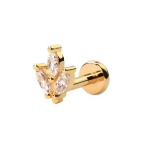 import placeholder for labret 129 dourado