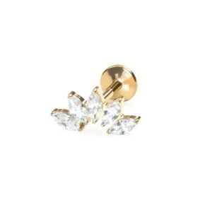 import placeholder for labret 205 dourado