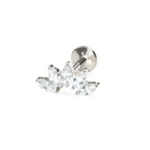 import placeholder for labret 205 prateado