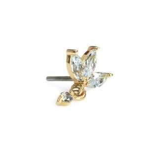 import placeholder for labret 216