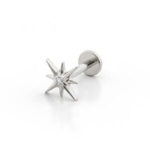 import placeholder for labret 229 prateado
