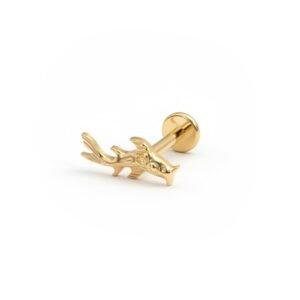 import placeholder for labret 235 dourado
