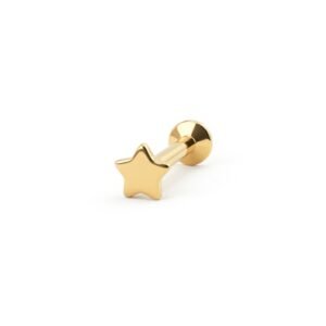 import placeholder for labret 67 dourado