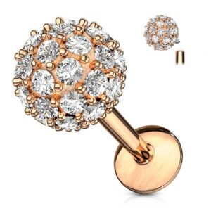 import placeholder for labret 71 ourorosa