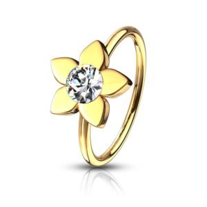 import placeholder for nose 197 dourado