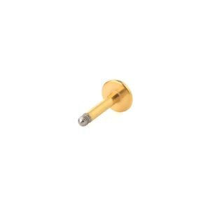 import placeholder for part 2 dourado