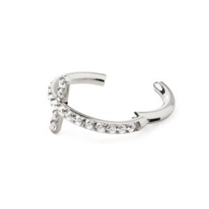 import placeholder for ring 204 prateado