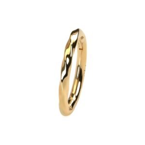 ring 227 gd 2 productpicture.jpg