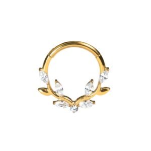 import placeholder for ring 230 dourado