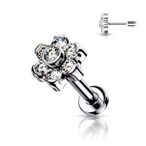 import placeholder for labret 81